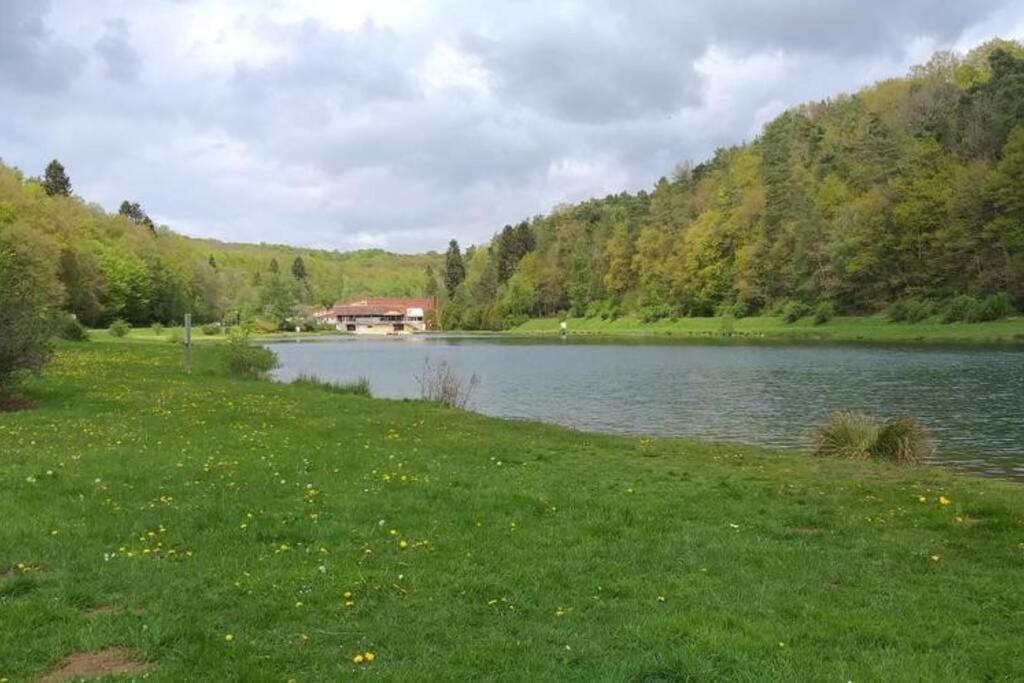 Le Repaire Des Herissons Vallee De Rabais Virton Buitenkant foto